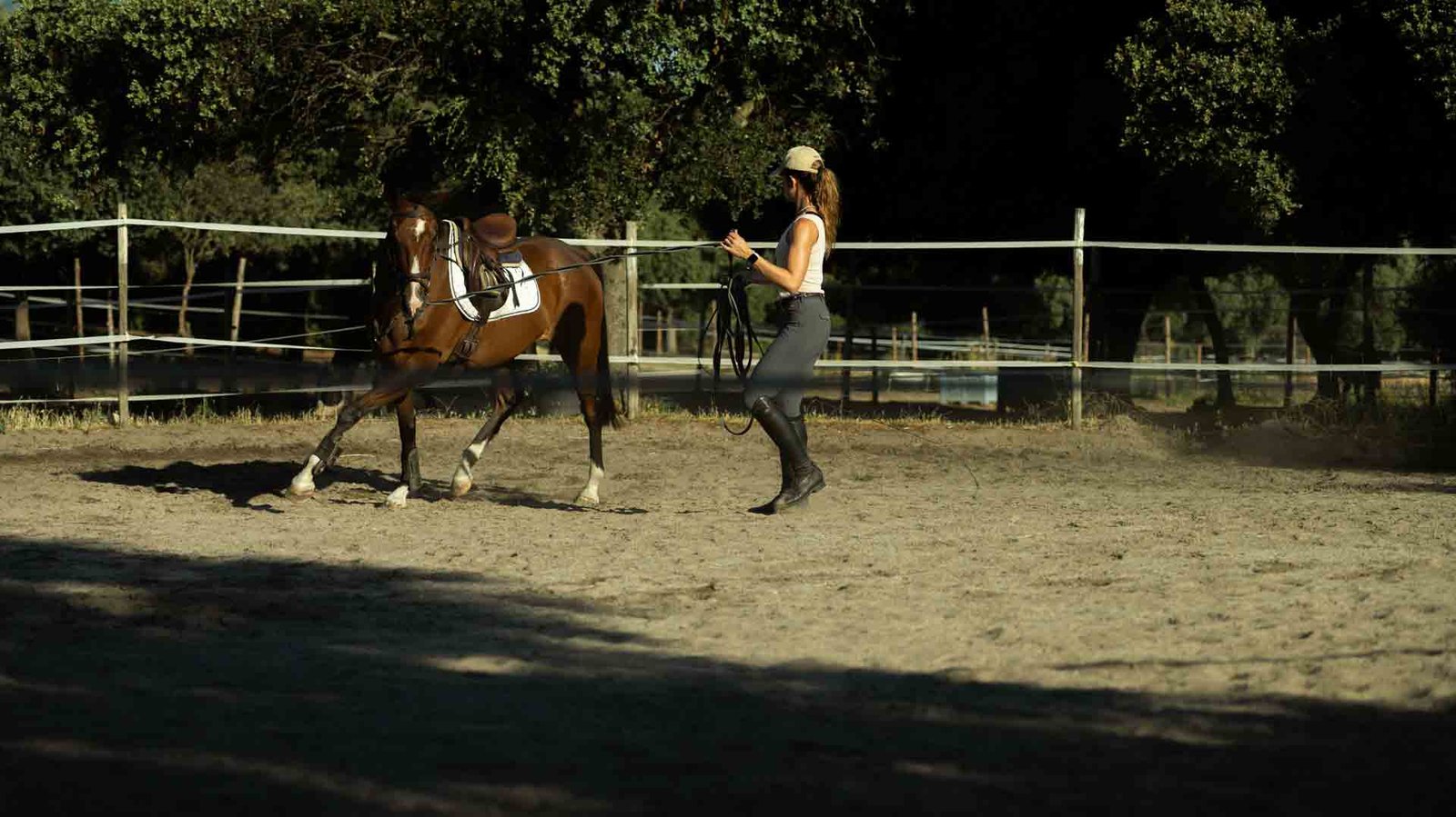 Paseo en Prado