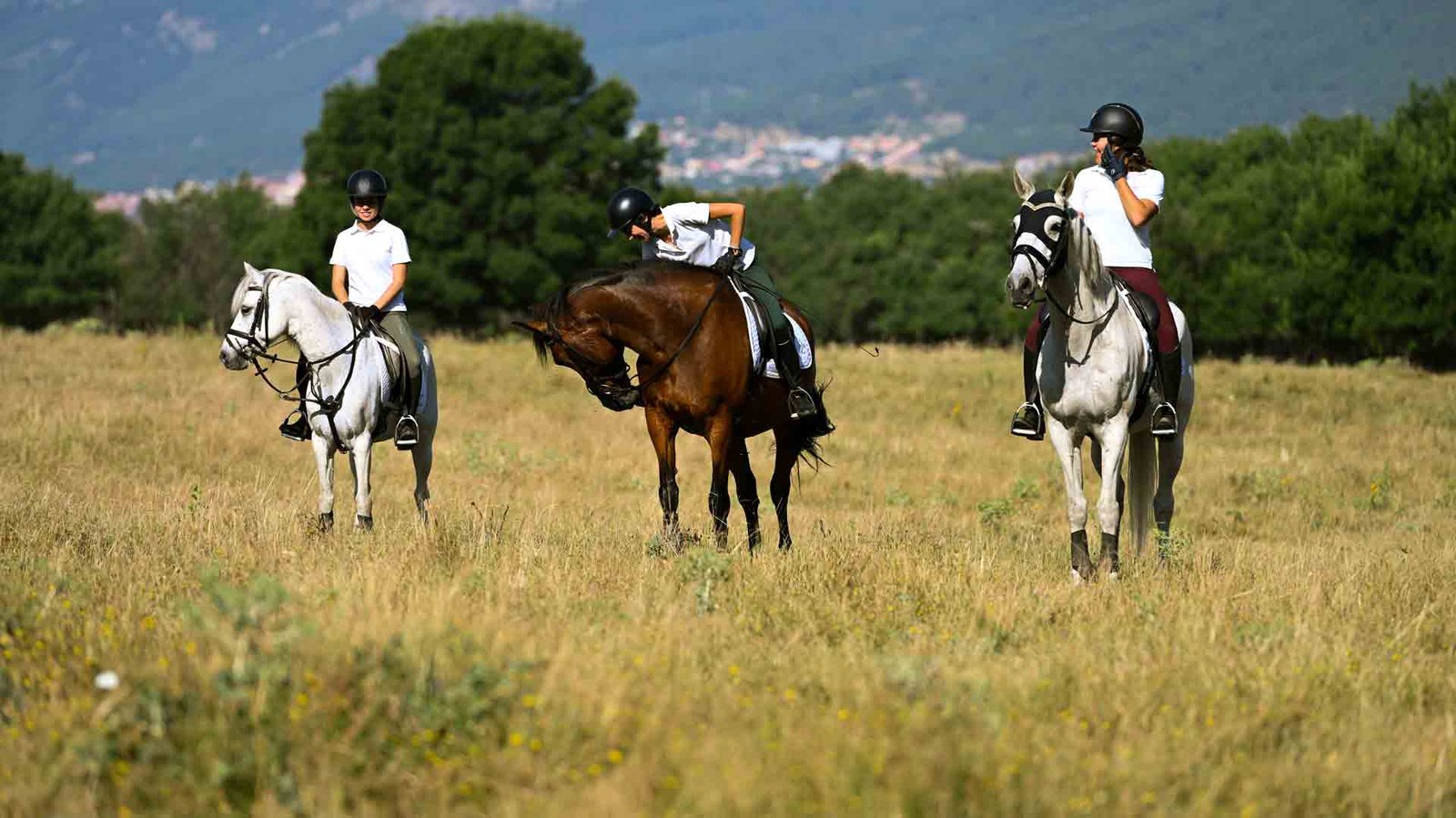 Paseo en Prado